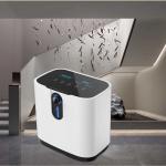 Mobile Oxygen Concentrator Dual Flow O2 Generator For Medical for sale