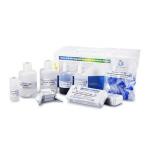 40 Tests / Kit SCD Method Sperm DNA Fragmentation Test Kit Wright Staining Dye for sale
