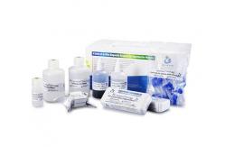 China 40 Tests / Kit SCD Method Sperm DNA Fragmentation Test Kit Wright Staining Dye supplier