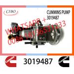 Genuine Diesel Fuel Injection Pump 2048809 3019487 3059657 For Cummins NT855