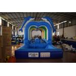 Durable Commercial Inflatable Water Slides , Cute Dolphins Cartoon Long Water Slip N Slide for sale