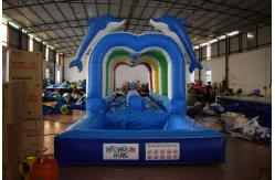 China Durable Commercial Inflatable Water Slides , Cute Dolphins Cartoon Long Water Slip N Slide supplier