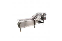China 220V Bubble Tomato Washing Machine For Vegetable Fruit Processing supplier