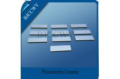 China Piezoelectric Ceramic Discs Ultrasonic Detectors Piezoceramic Ring supplier