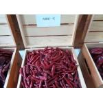 China Halal Approved S4 Replacement New Generation Dried Red Chilli Peppers 50000SHU for sale