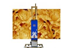 China Movable Digital Wall Printing Machine supplier