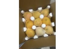 China Customized Profiled EPS Foam Shock Absorbing Fruit Tray Fragile Protective supplier