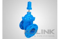 China Resilient Seated Gate Valve With Stem Cap Wrench Nut Undergound Buried supplier