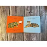 A5 Pamphlet Brochure Custom Colouring Book Printing Cmyk Color  ISO for sale