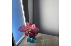China Ip20 Cri90 Smart Light Panels 120w Certification RoHS supplier