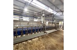 China Sheep Parallel Fast Mode Milking Parlor Equipment Easy To Operate supplier