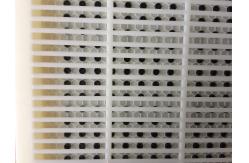 China No Graft Beekeeping Queen Rearing One Plastic Cassette Honey Bee Box Beekeeper Tool supplier