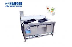 China Double Trough 15-20 Kg/Time Vegetable Washing Machine Multi Function supplier