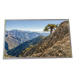 AUO 15.6 LCD Panel G156HTN02.0 Vertical Stripe 141PPI Industrial LCD Screen for sale