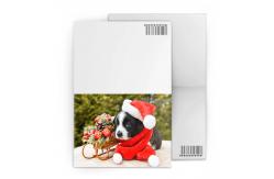 China Visting custom lenticular cards PET 3D And Flip Changing Design CMYK Printing supplier
