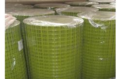 China Square Hole Fencing Green 14mm 1x1 Welded Wire Mesh supplier