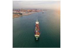 China One Stop LCL FCL Sea Freight Forwarding Services From China To India supplier
