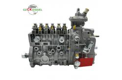China Fuel Injection Pump 0403466154 3926880 0403466156 3926881 for 6CT 6CT8.3 supplier