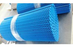 China                  Plastic Modular Chain Conveyor Machine Chain for Food Filling Machine              supplier