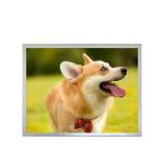 15 Inch High Tni Lcd Monitor Panel High Brightness Industrial Lcd Screen Outdoor for sale