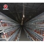120/160 Chickens Per Set Newest Battery Chicken Cage Steel Wire Mesh for sale