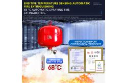 China 30L Temperature Sensing FM200 Gas Automatic Hanging Fire Extinguisher Standard supplier