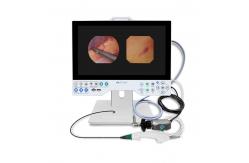China 15 Inch FHD Camera System Compatible Flexible And Rigid Endoscope Professional Manufacturer supplier