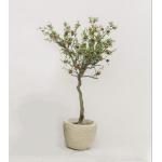 Airport PE 120cm Artificial Pomegranate Tree Environment Friendly for sale