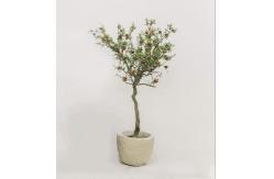 China Airport PE 120cm Artificial Pomegranate Tree Environment Friendly supplier