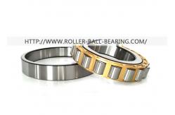 China KOYO NSK NTN Cylindrical Roller Bearing N1020-K-M1-SP N1020 N1022 N1018 supplier