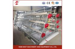 China 1.6m Wide 4 Tier Layer Cage For Poultry Farmers Rose supplier