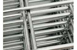 China Electro Welded Galvanized Bird Cage Welded Iron Wire Mesh Multifunctional supplier