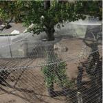 90 Degree Ferruled Mesh Fencing For Animal Enclosures