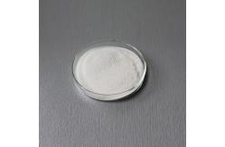 China 6000usp Carica Papaya Proteolytic Enzymes Enzyme Activity Can Be Customized supplier