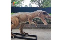China Small Size  4M Waterproof Allosaurus Animatronic Exhibition Dinosaurs supplier