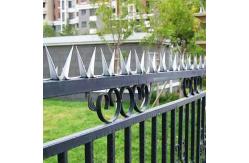 China Single Razor Anti Burglar Fence Spikes supplier