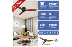 China Commercial European Style Electric Ceiling Fan with Remote Control 1stshine Boom Ceiling supplier