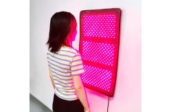 China Muscle Healing Neoprene 792pcs LED Light Therapy Pads supplier