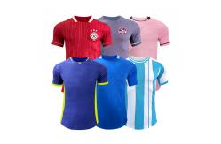 China Making the Best Player Version Jersey Design Material Cutting Sewing Printing Checkpoint supplier