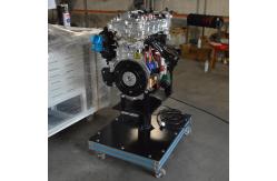 China Training Effectiveness Automotive Trainers Corolla 1ZR Engine Cutaway Model supplier