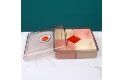 China Compartments 450g Plastic Organizer Box With Cover supplier
