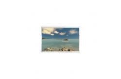 China 10.1 Inch 1920*1080 LCD Monitor Screen AV101FHT-T10-28P0  supplier
