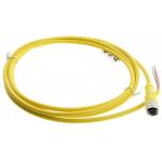 4A P+F Sensors Female Connector V12-G-YE10M-PVC