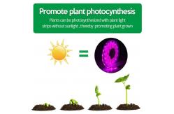 China Full Spectrum Plant Strips Indoor Waterproof Lighting LED Grow Light Strips supplier