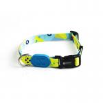 1.5cm Polyester Dog Collar For Dye Sublimation Hidream Dog Harness Personalized ID for sale