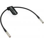 Alvin'S Cables Timecode Cable For Canon R5C Camera From Atomos Ultrasync One Straight DIN To DIN Time Code Cable 30cm|12 for sale