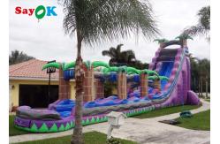 China Purple Inflatable Water Slide Commercial Grade Water Slide Inflatable With Pool supplier