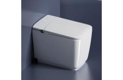 China Modern Smart Toilet for a High-Tech and Comfortable Bathroom Experience supplier