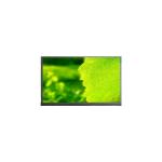P070ACB-DB8 7.0 inch  600*1024 60Hz LCD Screen lcd Module for sale