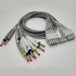 Mortara Compatible Sports Recorder Holter ECG Cable 10 Lead Bananas for sale